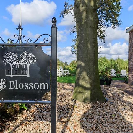 B&B Blossom Lisse Exterior photo