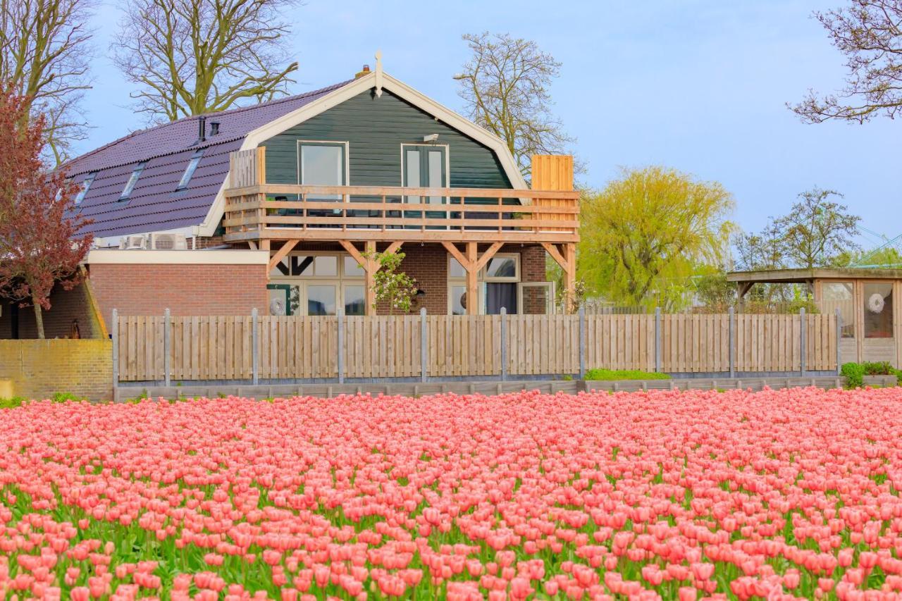 B&B Blossom Lisse Exterior photo